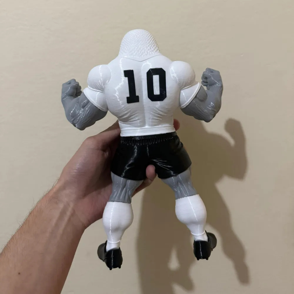 Gavião Cor Guerreiro 3D  Edição Colecionador