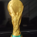 Taça Troféu 30cm Copa do Mundo FIFA Brasil Decoração Futebol
